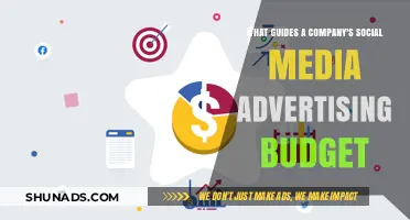 Strategic Factors Shaping a Company's Social Media Advertising Budget