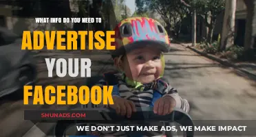 Essential Facebook Ad Details: Target Audience, Budget, and Creative Assets