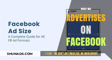 Unveiling Facebook's Ad Landscape: Brands, Strategies, and Targeting Tactics