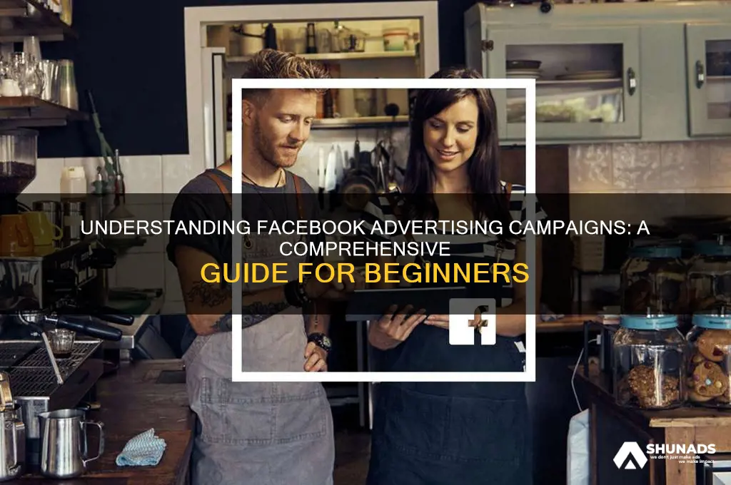 what is a campaign in facebook advertising