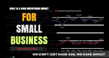 Smart Advertising Budget Strategies for Small Business Success