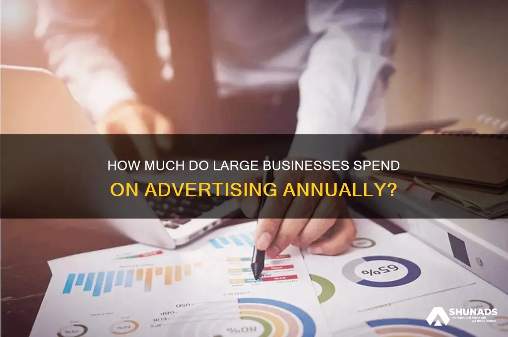 what is a typical advertising budget for a large business