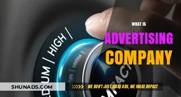 Understanding the Role and Impact of an Advertising Company