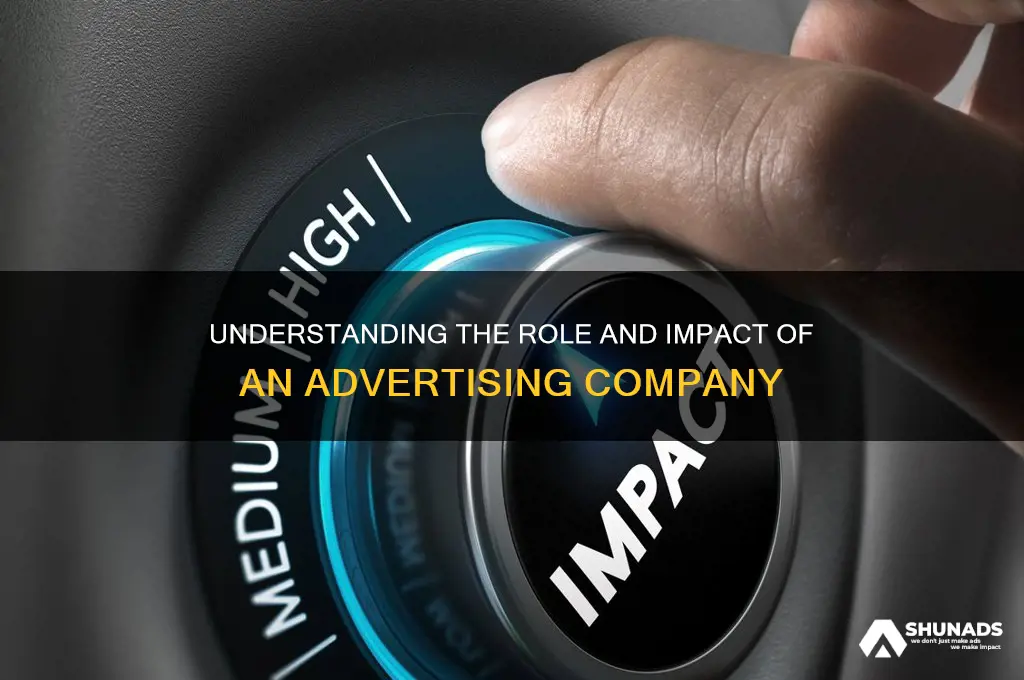 what is advertising company