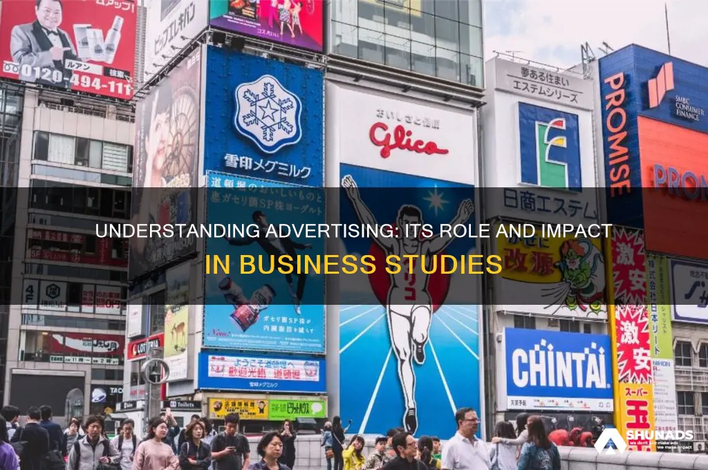 what is advertising in business studies