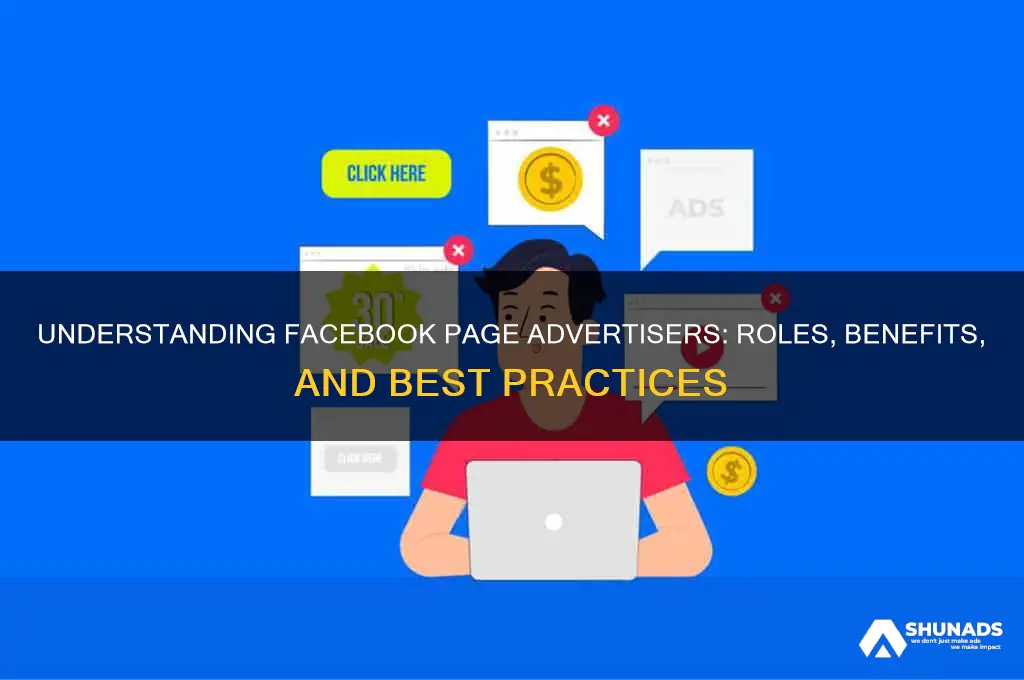what is an advertiser on facebook paghe