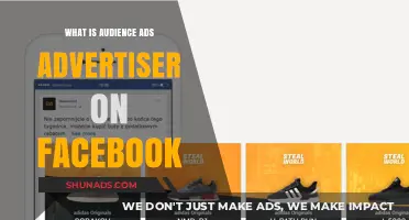 Understanding Facebook Audience Ads: A Guide for Advertisers