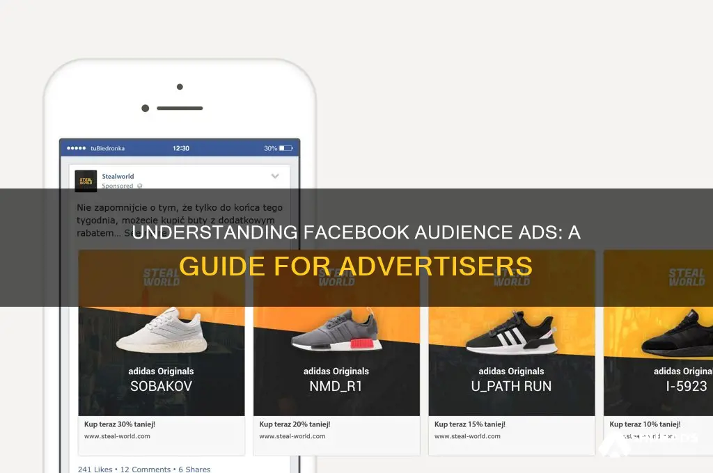 what is audience ads advertiser on facebook
