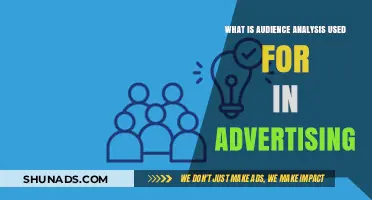Understanding Audience Analysis: Enhancing Ad Campaigns for Maximum Impact