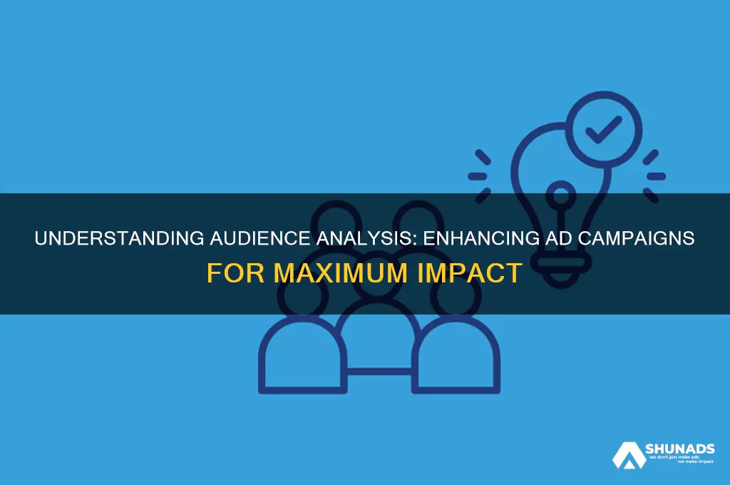 what is audience analysis used for in advertising
