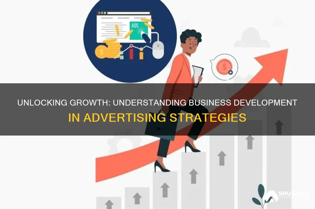 what is business development in advertising