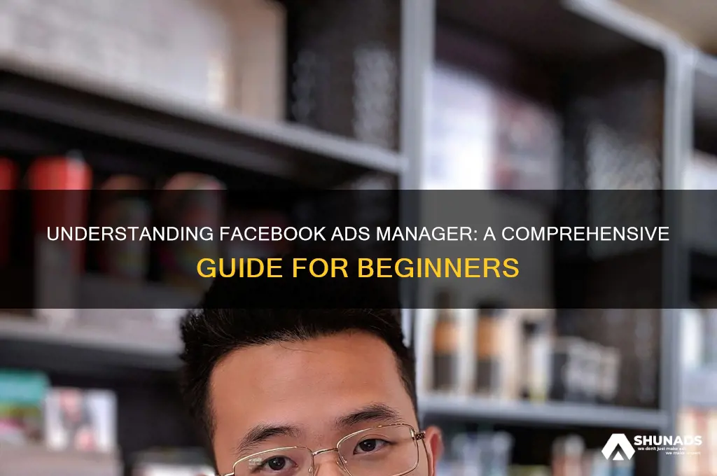 what is facebook advertising manager