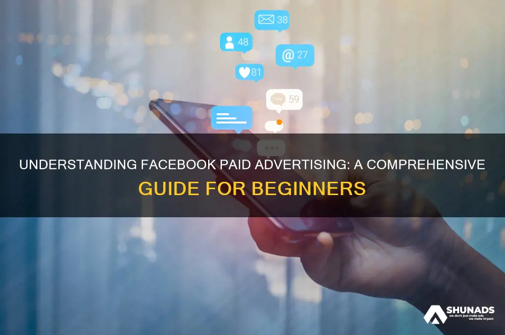 what is facebook paid advertising