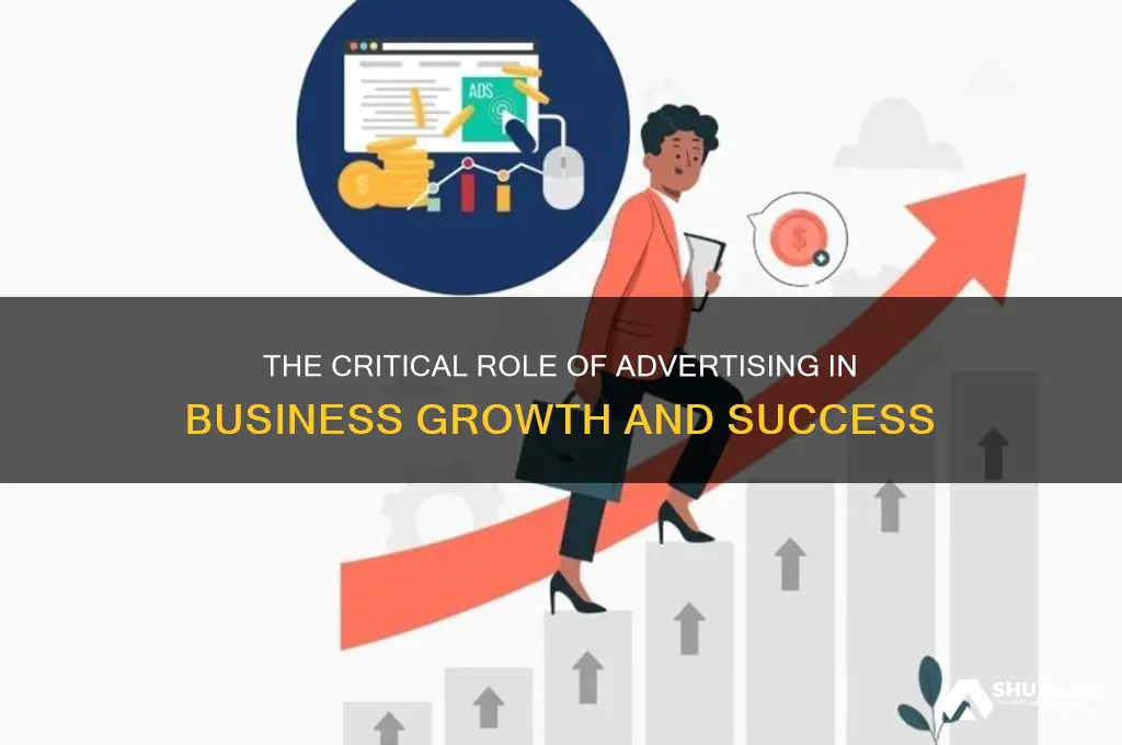 what is importance of advertising to business