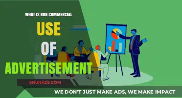 Understanding Non-Commercial Use of Advertisements: Purpose and Legal Boundaries