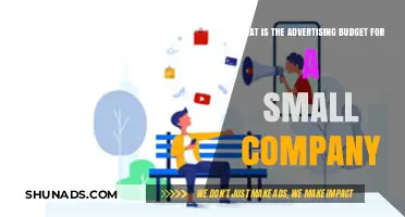 Smart Advertising Budget Strategies for Small Businesses to Thrive
