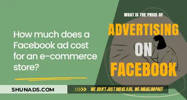 Facebook Advertising Costs: Understanding Pricing for Your Business Campaigns
