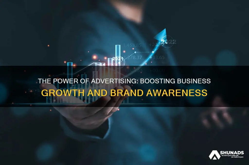 what is the use of advertisement in business