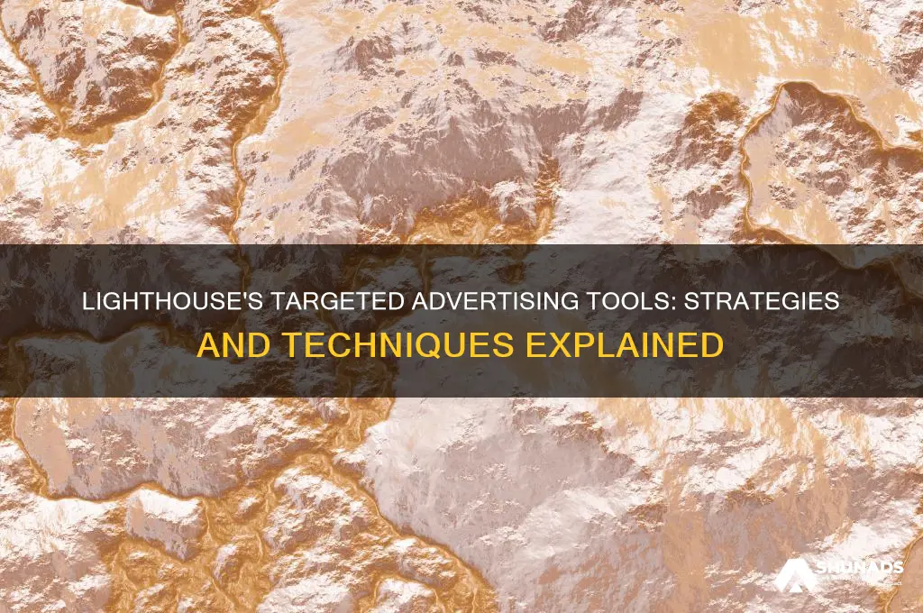 what is used for targeted advertising in lighthouse