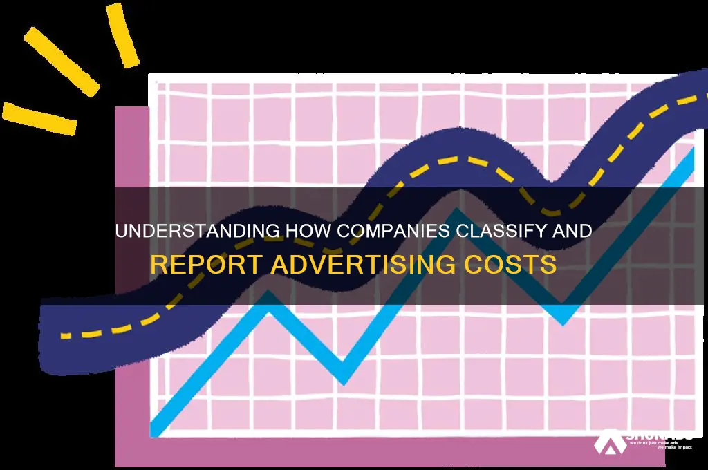 what kind of cost does a company report advertising as