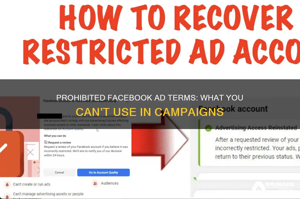 what kind of terms are not allowed for facebook advertisement