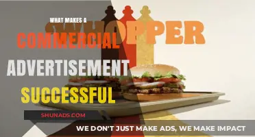 Crafting Success: Key Ingredients for a Winning Commercial Advertisement