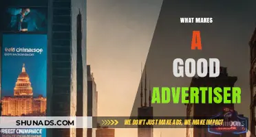 Crafting Compelling Campaigns: The Essential Traits of a Top Advertiser