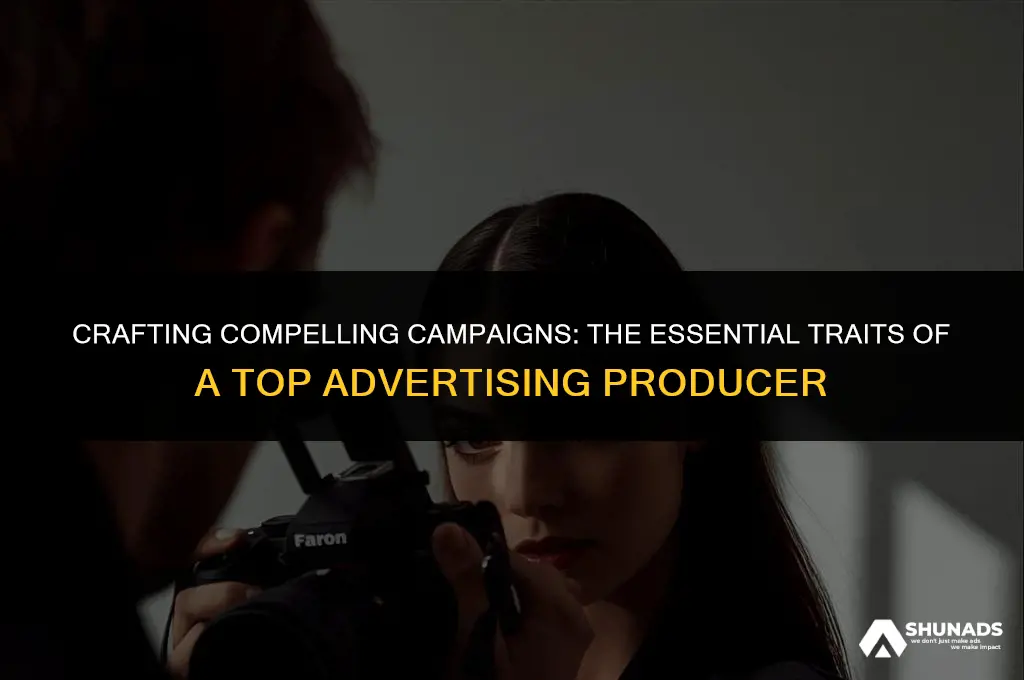 what makes a good advertising producer