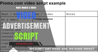 Crafting Compelling Video Ad Scripts: A Guide to Captivating Your Audience