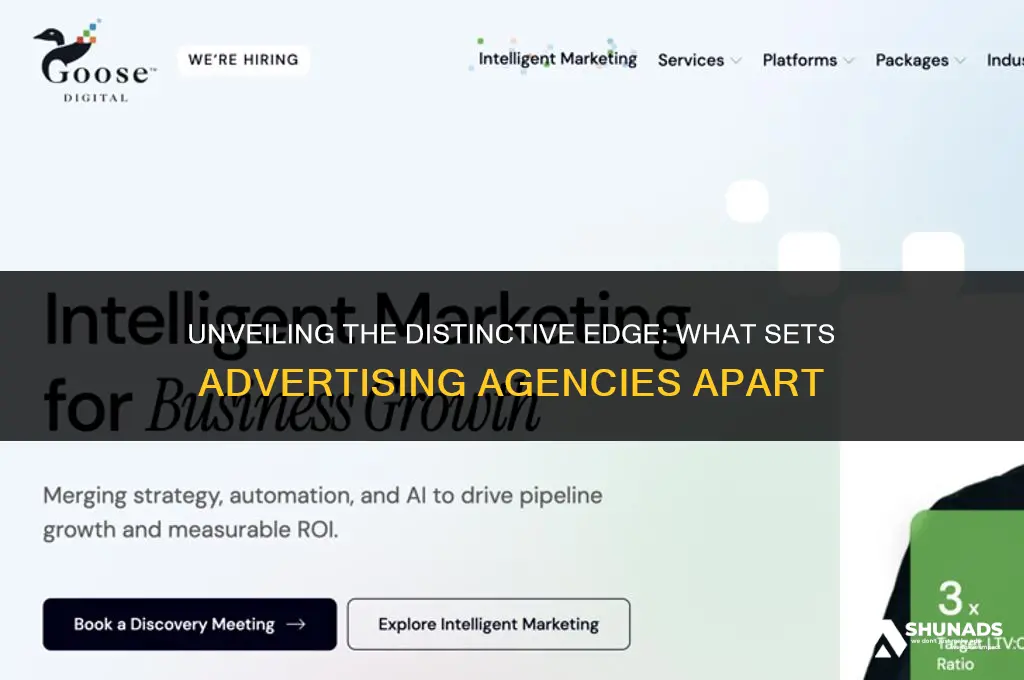 what makes an advertising agency unique