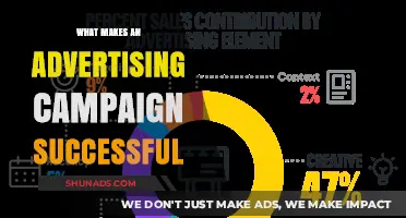 Unlocking Success: Key Elements of Effective Advertising Campaigns