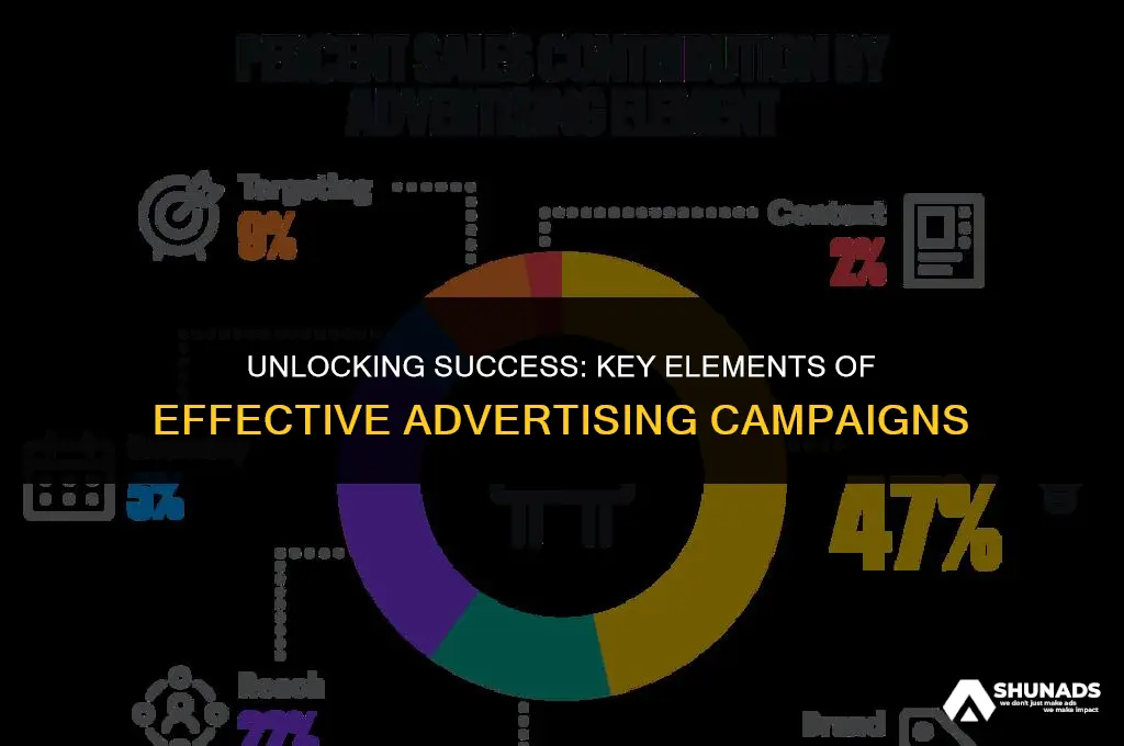 what makes an advertising campaign successful