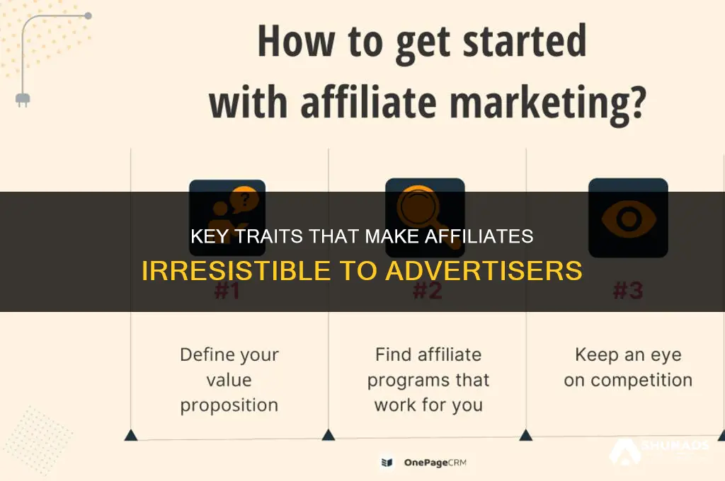 what makes an affiliate attractive to an advertiser