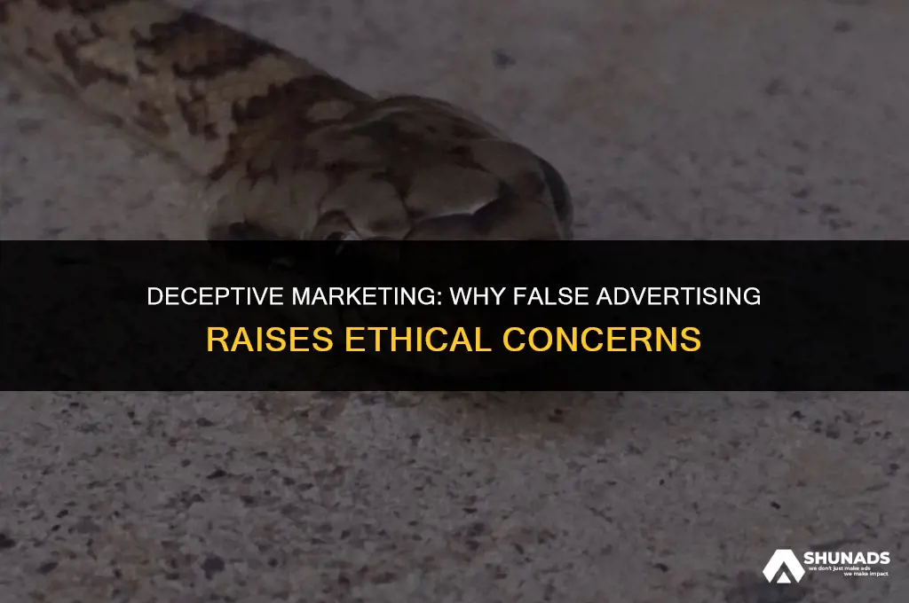 what makes false advertising an ethical issue