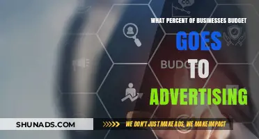How Much Do Businesses Allocate to Advertising in Their Budgets?