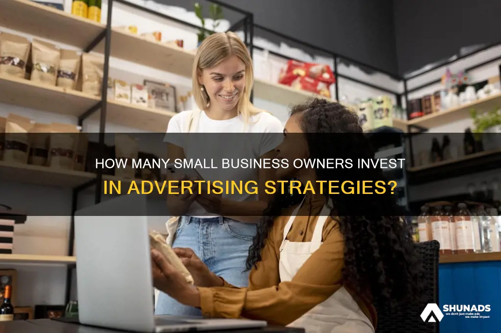 what percentage of small business owners advertise