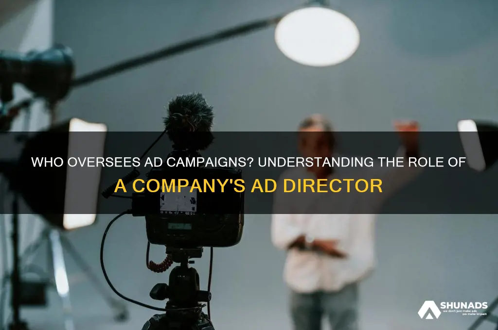 what position at a company directs advertisements