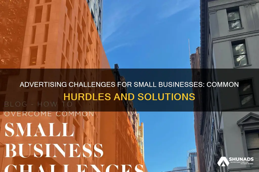 what problems do small business owners face in advertising