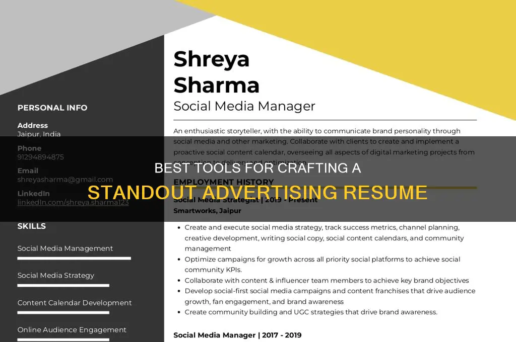 what program should i use to make an advertising resume