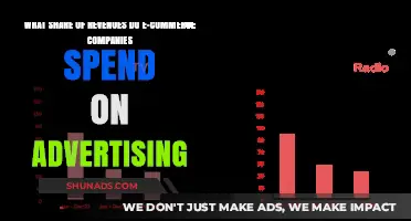 E-commerce Advertising Spend: Revenue Allocation Strategies Revealed