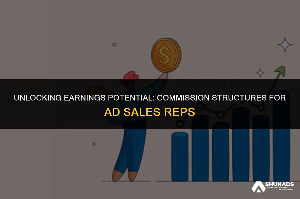 what should an advertisment sales rep make in comission