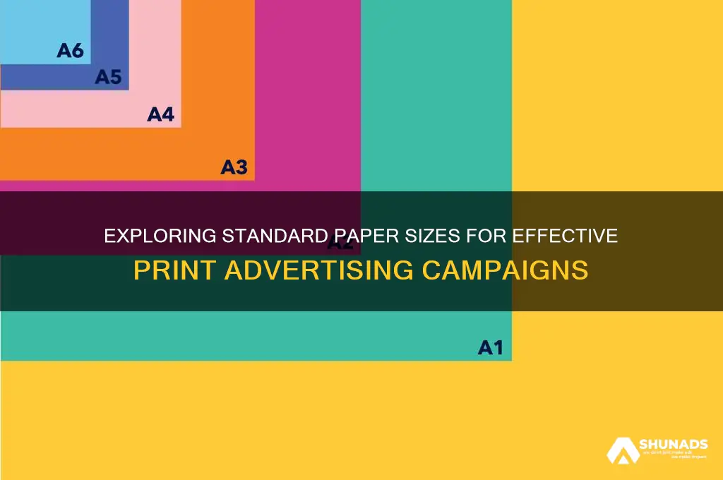 what sizes of paper is used in print advertising