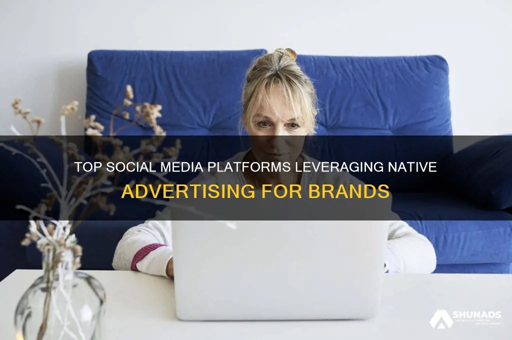 what social media platforms use native advertising