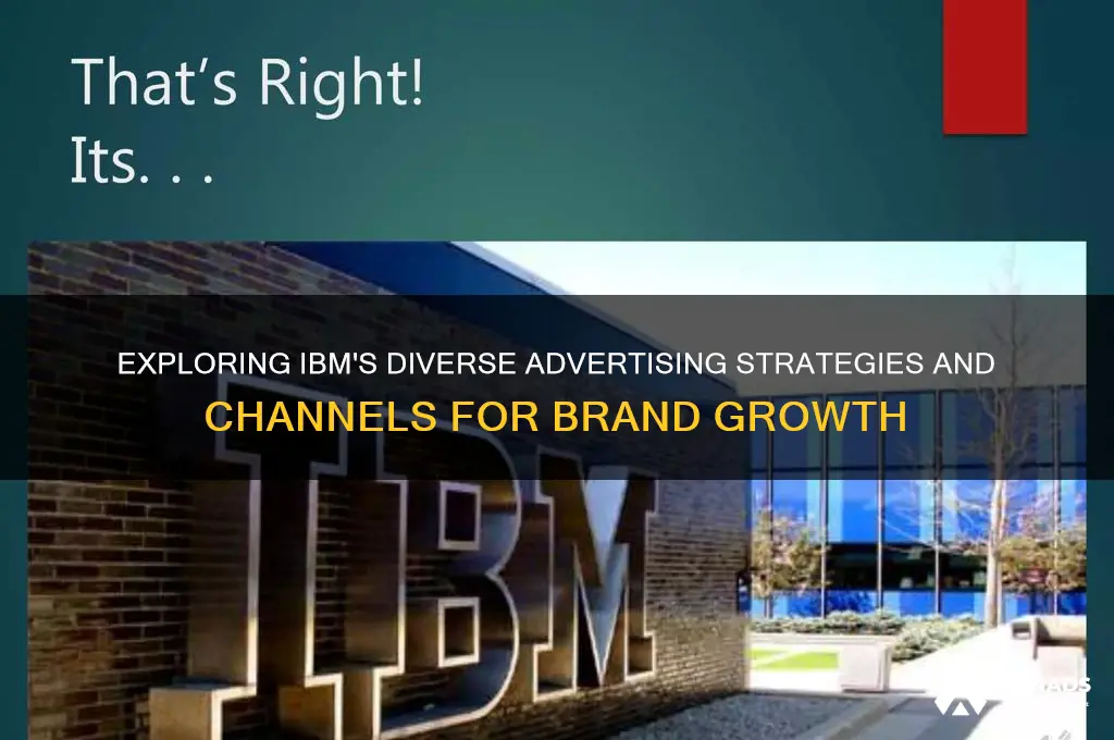 what sources of advertisement does ibm use