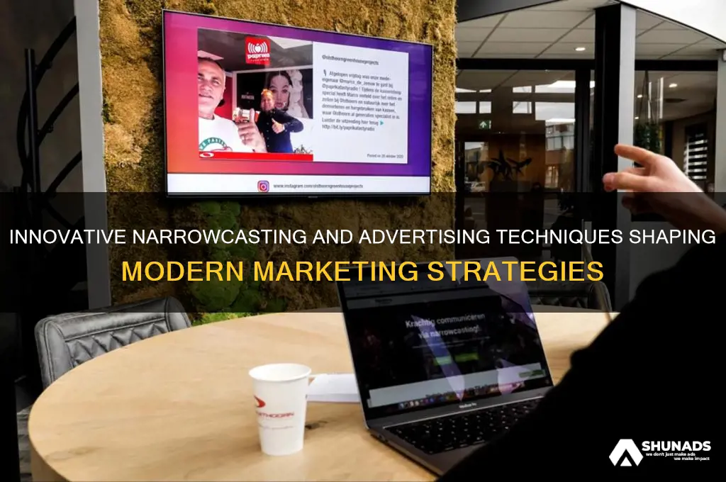 what techniques are currently used in narrowcasting and advertising