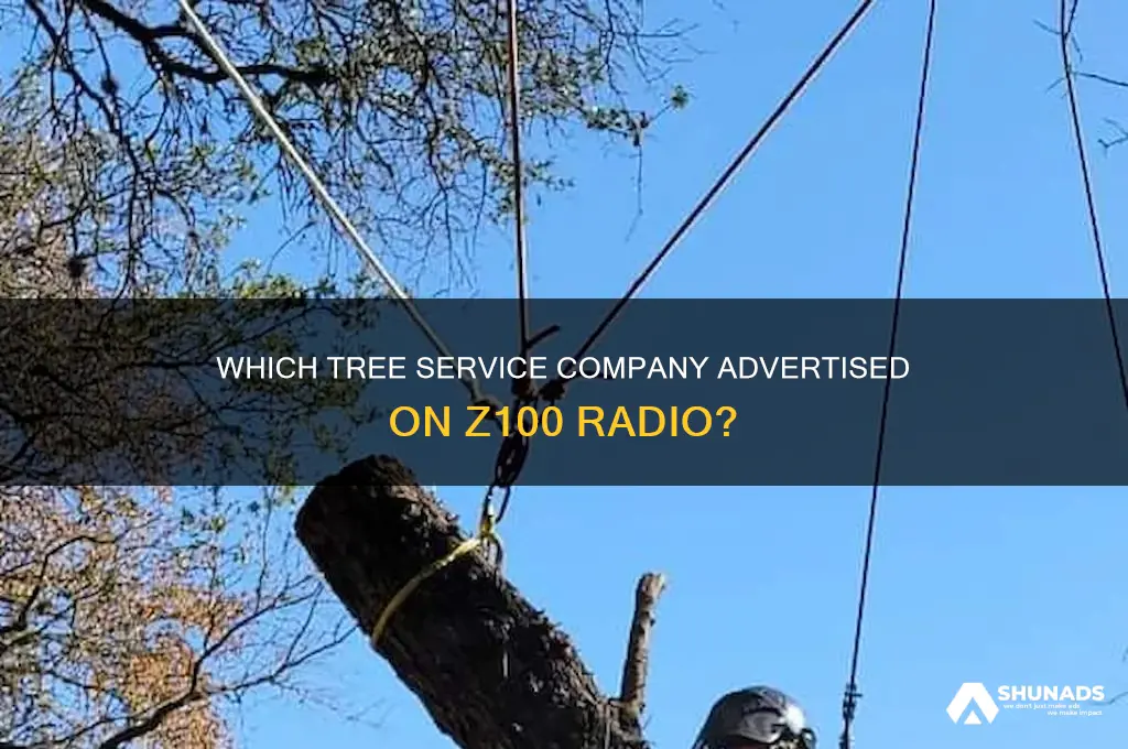 what tree company advertised on z100 radio