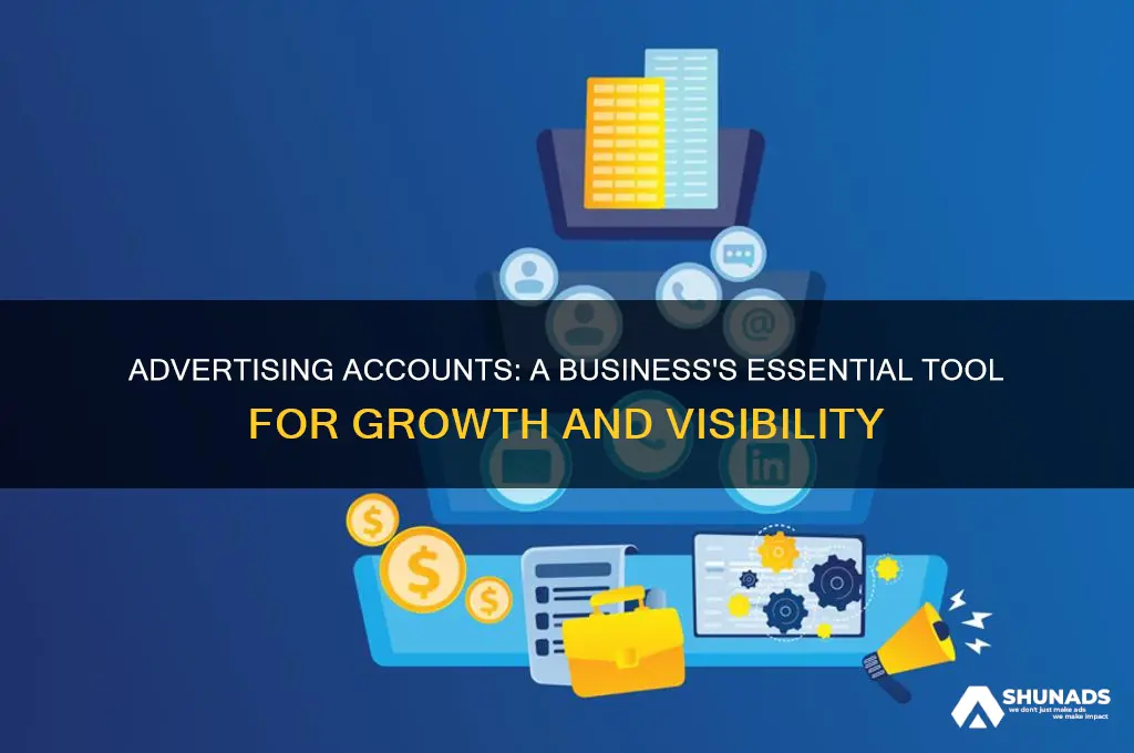 what type of account would advertising be for a business