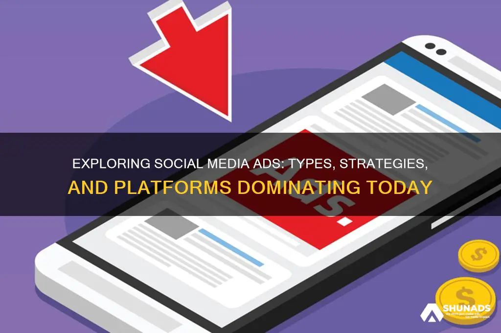 what type of advertisements use social media