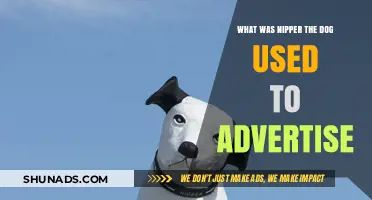 Nipper the Dog: The Iconic Mascot Behind RCA's Advertising Legacy