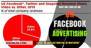 Maximizing Facebook Ad Spend: What Can $1000 Really Achieve?
